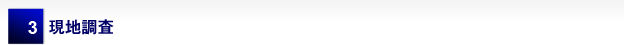 3 現地調査